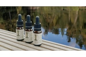 CBD-olie, de technieken en mogelijkheden...