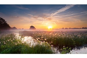 Natuurlijk daglicht bij zonsopkomst in een mistig landschap met water en groen.