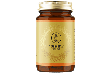 Terracotta Shou Xing - Maitake & Cordyceps