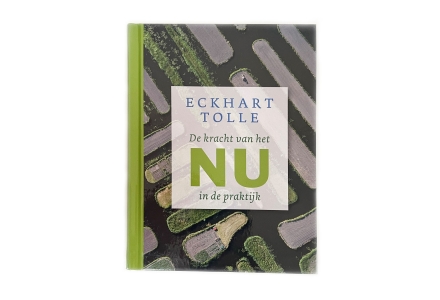 De kracht van het nu in de praktijk - Eckhart Tolle