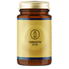 Terracotta Rockstar - Cordyceps & Agaricus