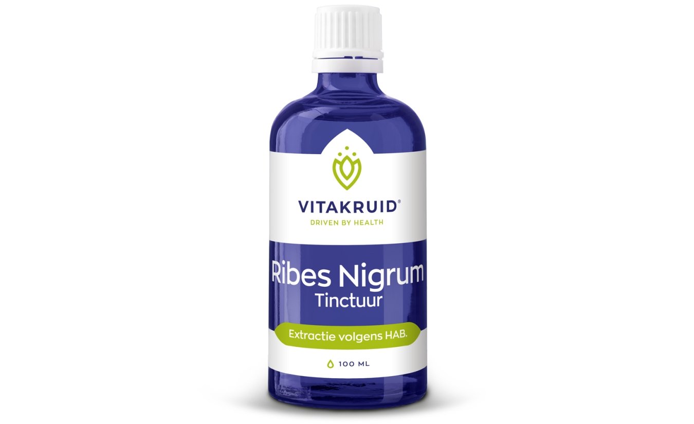 Ribes Nigrum tinctuur 100 ml