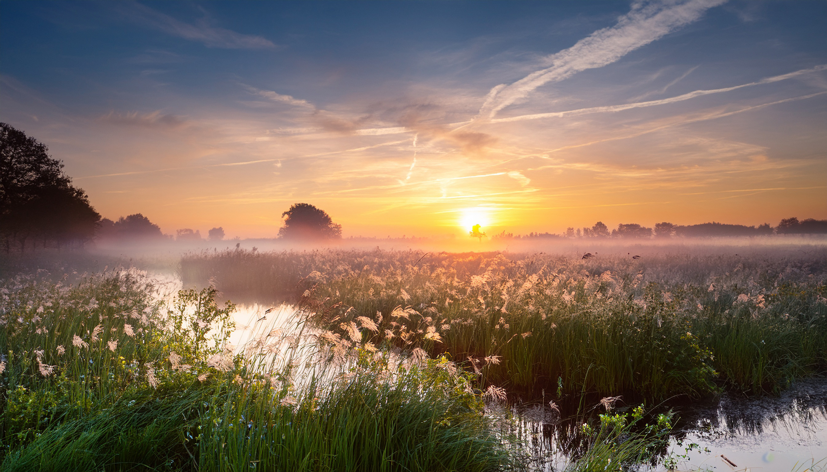 Natuurlijk daglicht bij zonsopkomst in een mistig landschap met water en groen.
