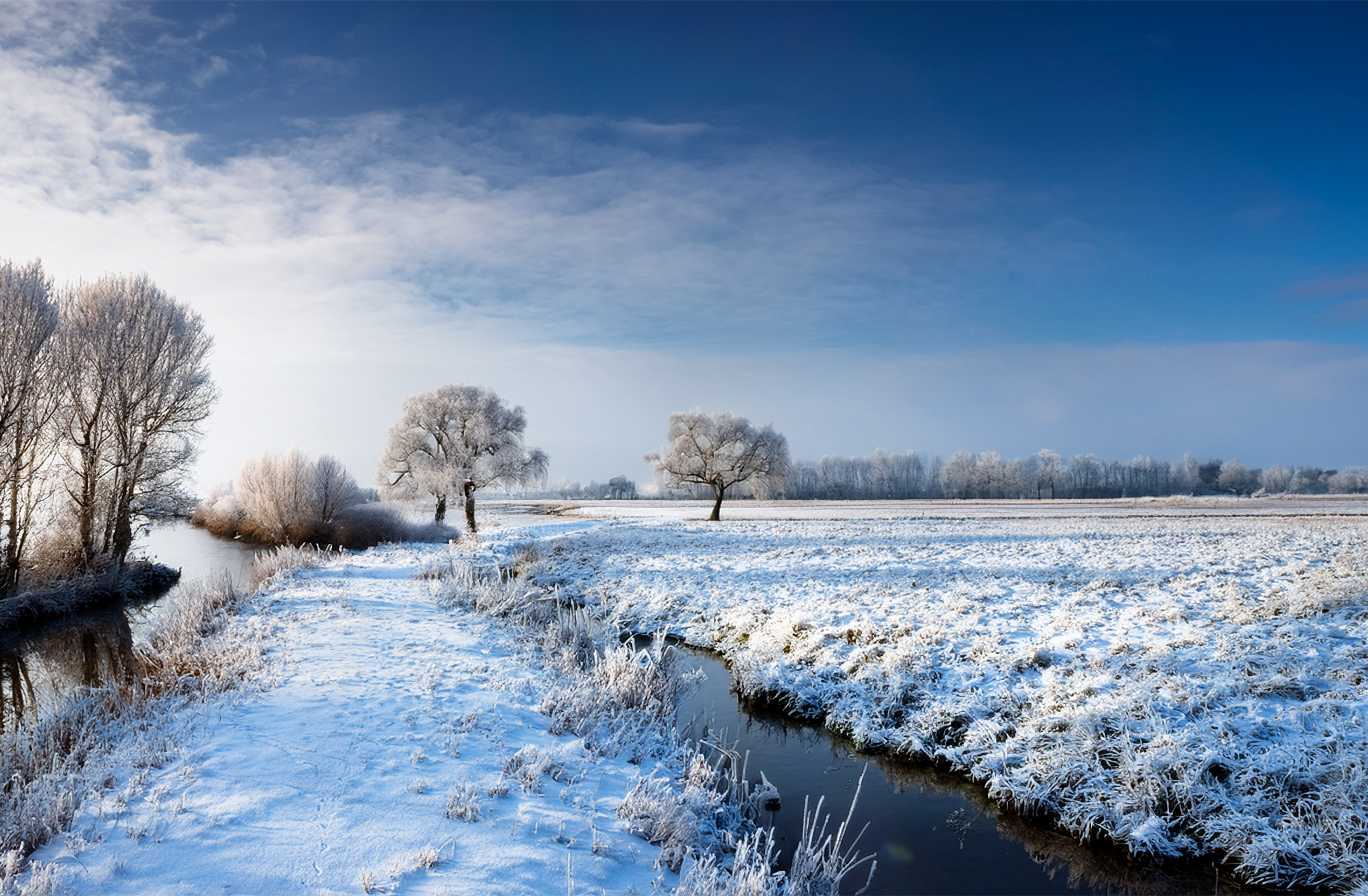 Besneeuwd winterlandschap met bomen.